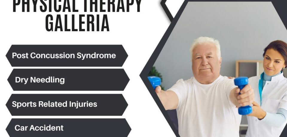 203c6611-2882-4e98-9d8e-ab728abf8d66.jpeg ### Key Elements
- **Main Subjects**: A middle-aged man and a female physical therapist.
- **Objects**: Dumbbells held by the man; a therapy setting in the background.
- **Notable Features**: Professional attire of the therapist; a bright, clean environment.
- **Text/Symbols**: Title "Physical Therapy Galleria" and various treatment categories listed; website link.
### Overall Mood/Theme
The image conveys a supportive and professional atmosphere focused on rehabilitation and wellness, emphasizing the importance of physical therapy in recovery from various conditions.